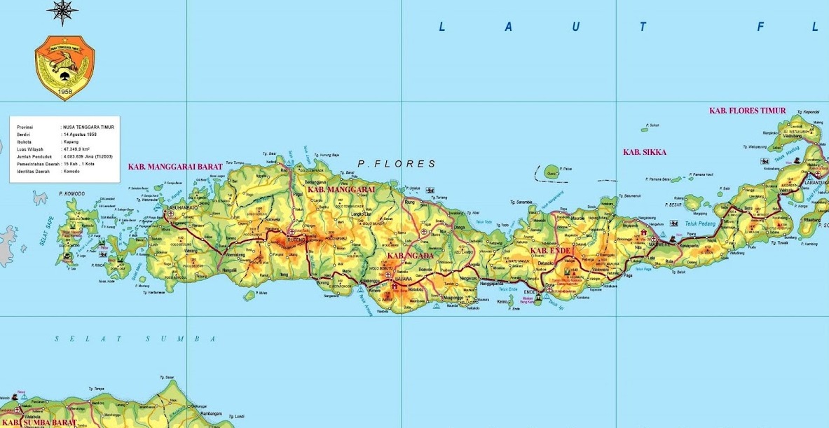 Flores Island Map 